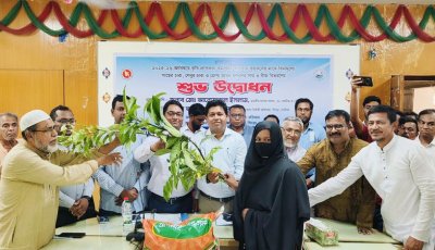 সিংড়ায় প্রণোদনার বীজ-সার ও গাছের চারা বিতরণ