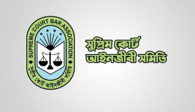 বিএনপির উৎসবের ভোট, সিল না দিতে আ.লীগের ‘জোট’