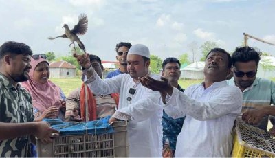 বাঘায় পদ্মাচরে ৩ শতাধিক পাখি অবমুক্ত করেন ছাত্রদল নেতা