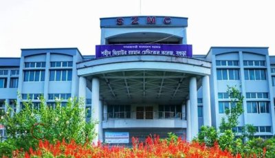 বগুড়ায় নাতির লাঠির আঘাতে দাদার মৃত্যু