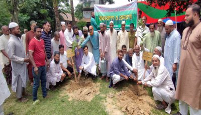 নওগাঁর ধর্মীয় প্রতিষ্ঠানে বৃক্ষরোপণ কর্মসূচির উদ্বোধন