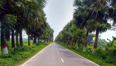 বদলগাছী উপর দিয়ে রেলপথ নির্মাণে সম্ভাব্যতা যাচাইয়ে এমপি বরাবর চিঠি