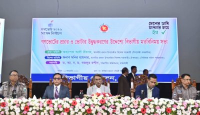 গণভোটের গোলাপি ব্যালটে টিক মানেই আগামীর বাংলাদেশ : আলী রীয়াজ