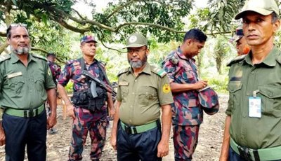 চাঁপাইনবাবগঞ্জ-নওগাঁসহ ১১ জেলার সীমান্তে আনসার মোতায়েন