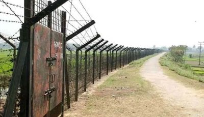 ঠাকুরগাঁও সীমান্তে বিএসএফের গুলিতে বাংলাদেশি নিহত, আটক ২