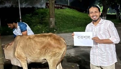 রাবিতে ‘বাকশাল’ নামে গরু কুরবানি করলেন রাকসু জিএস আম্মার