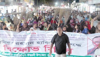 ৭ বছর পর ঈশ্বরদী উপজেলা ও পৌর বিএনপির কমিটি, একদিকে আনন্দ মিছিল অন্যদিকে বিক্ষোভ