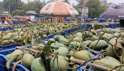 মৌসুম শেষেও জমজমাট আমের বাজার, দামে খুশি কৃষক