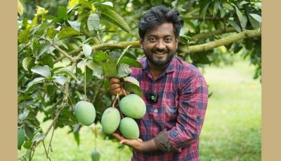 ম্যাঙ্গো লাভারের অফিসে তরুণীকে ধর্ষণের চেষ্টার অভিযোগ