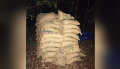 সিরাজগঞ্জে জঙ্গল থেকে ৯৫ বস্তা খাদ্যবান্ধব কর্মসূচির চাল উদ্ধার