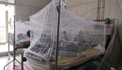 চাঁপাইনবাবগঞ্জে বাড়ছে ডেঙ্গু রোগী, বাড়ছে শঙ্কা