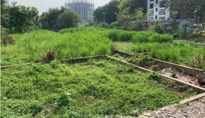 নগরীতে জমি দখলের চেষ্টার অভিযোগ কৃষকদল নেতার বিরুদ্ধে