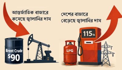 বিশ্ববাজারে জ্বালানির দাম কমলেও বাংলাদেশে কেন বাড়লো