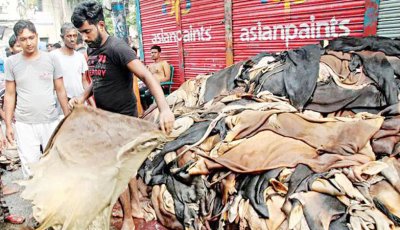 চামড়া সংগ্রহে অনাগ্রহে ক্ষুদ্র ও মৌসুমী ব্যবসায়ীরা
