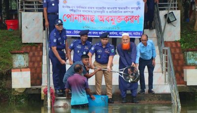 নাটোরে অভ্যন্তরীণ জলাশয়ে প্রায় দুই টন মাছের পোনা অবমুক্ত