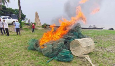 বাঘায় ৫ হাজার মিটার কারেন্ট জাল পুড়িয়ে ধ্বংস