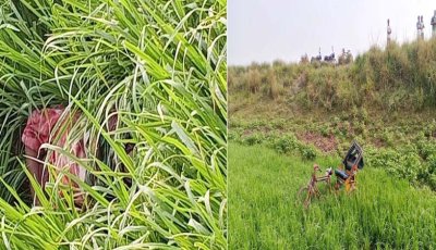 বেড়ায় রিকশা চালকের গলাকাটা মরদেহ উদ্ধার