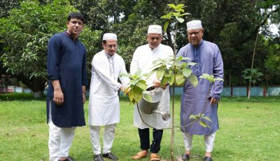 বিশ্ব পরিবেশ দিবসে রাবি উপাচার্যের বৃক্ষরোপণ