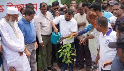 রাজশাহীতে ২ লাখ ৫০ হাজার গাছ লাগানোর লক্ষ্যমাত্রা