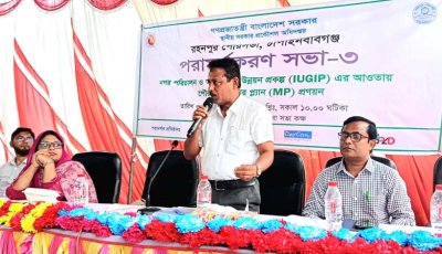 রহনপুর পৌরসভার মাস্টার প্ল্যান প্রণয়নে পরামর্শক সভা