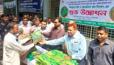 গোমস্তাপুরে গ্রীষ্মকালীন কৃষি প্রণোদনা পাচ্ছেন ৬২৭০ জন