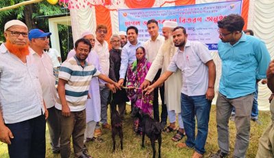 সিংড়ায় ক্ষুদ্র নৃ-গোষ্ঠী পরিবারের মাঝে ছাগল বিতরণ