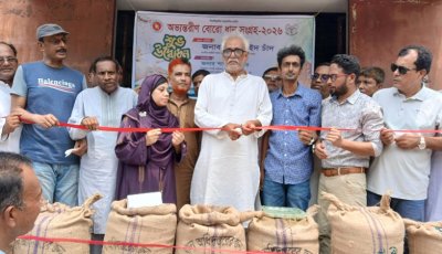 বাঘায় ধান সংগ্রহের উদ্বোধন