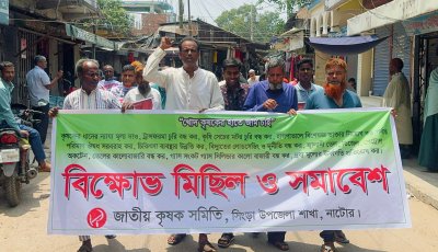 সিংড়ায় কৃষক স্বার্থ রক্ষায় জাতীয় কৃষক সমিতির বিক্ষোভ ও সমাবেশ