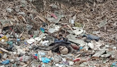 বাঘায় নিখোঁজ বৃদ্ধের কঙ্কাল উদ্ধার