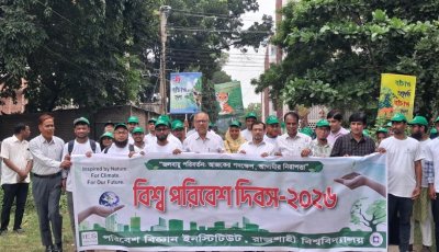 রাবিতে বিশ্ব পরিবেশ দিবস পালিত