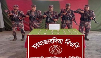 রাজশাহী সীমান্তে পৃথক অভিযানে ভারতীয় মাদকদ্রব্য ও চোরাচালানি মালামাল জব্দ