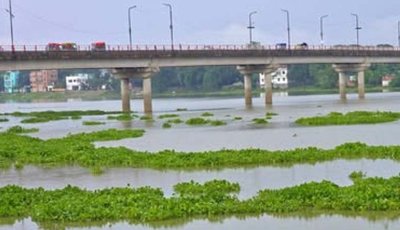 চাঁপাইনবাবগঞ্জে ‘চায়না দুয়ারি’র দাপটে বিলুপ্তির পথে দেশীয় মাছ