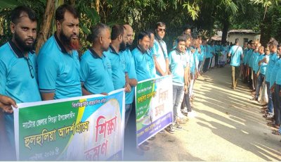 বদলগাছী গয়ড়া তেঁতুলিয়া আদর্শ গ্রাম গঠন করতে শিক্ষা সফরে গ্রামবাসী