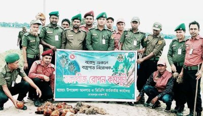 আনসার ভিডিপির বরেন্দ্র অঞ্চলে  ৫০০ তালবীজ রোপণ