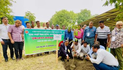 বিএমডিএর বৃক্ষরোপণ কর্মসূচির উদ্বোধন
