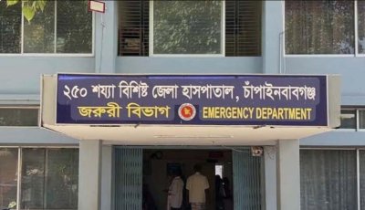 চাঁপাইনবাবগঞ্জে ডেঙ্গুর প্রকোপ, নারী ও শিশুর মৃত্যু