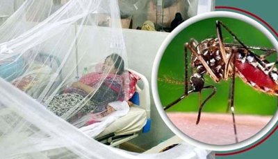 ডেঙ্গুতে ৬ জনের মৃত্যু, হাসপাতালে ভর্তি নতুন রোগী ১৫৯৩