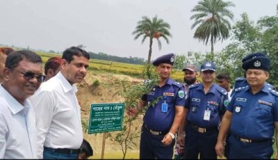 তানোরে বৃক্ষরোপণ কর্মসূচি উদ্বোধন