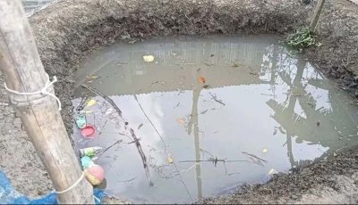 ভোলাহাটে বাড়ির পাশে জমে থাকা পানিতে ডুবে মামা-ভাগনের মৃত্যু
