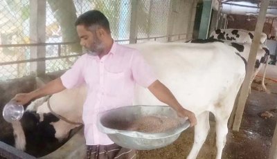 খামারের আয়েই ঘুরছে গ্রামীণ অর্থনীতির চাকা