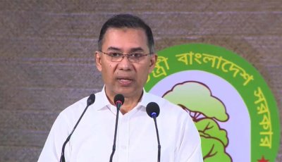 সরকারি হিসাবে ৭ লাখ দেখালেও গাছ লাগানো হয়েছে ২ লাখ: প্রধানমন্ত্রী