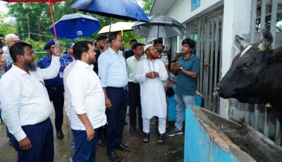রাজাবাড়ী হাটে আঞ্চলিক কৃত্রিম প্রজনন গবেষণাগার পরিদর্শনে মৎস্য ও প্রাণিসম্পদ প্রতিমন্ত্রী