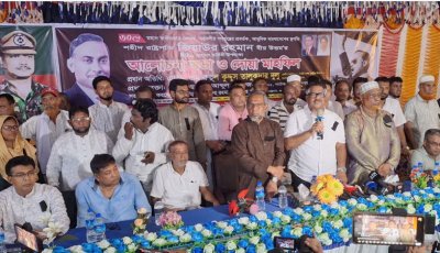 শহীদ জিয়ার স্বাধীনতা ঘোষণার মাধ্যমেই বাংলাদেশ নামক রাষ্ট্র পেয়েছি : দুলু