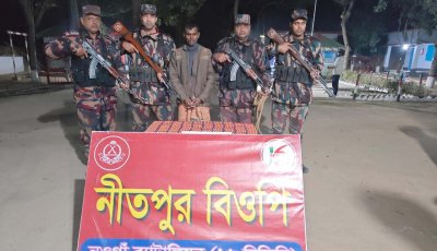 পোরশা সীমান্তে ভারতীয় ট্যাপেন্টাডল ট্যাবলেটসহ মাদক ব্যবসায়ী আটক