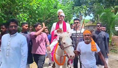 ঘোড়ায় বর, পালকিতে কনে, বরযাত্রীরা এলেন মহিষ ও গরুর গাড়িতে