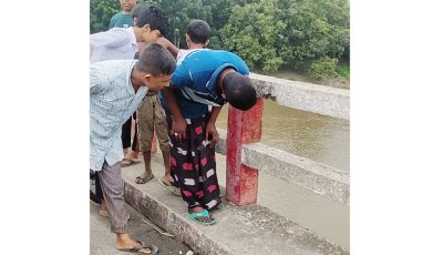 বদলগাছীতে মোবাইল ফোনে কথা বলার সময় বজ্রপাতে নিহত এক