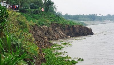 চারঘাটে পদ্মায় পানি বৃদ্ধি, আতঙ্কে তীরবর্তী এলাকাবাসী