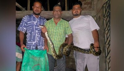 ঘুমাতে গিয়ে সিলিংয়ে দেখেন ১২ ফুটের অজগর, পরে উদ্ধার