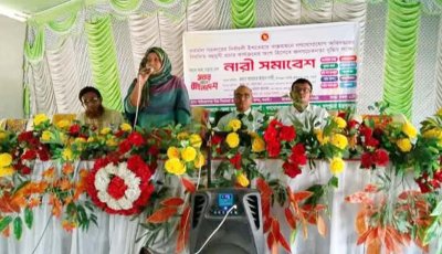 মান্দায় নারীর ক্ষমতায়ন ও উন্নয়নে ঐক্যবদ্ধ হওয়ার আহ্বান ইউএনও’র