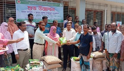 বড়াইগ্রামে কৃষকের মাঝে বিনামূল্যে বীজ ও সার বিতরণ